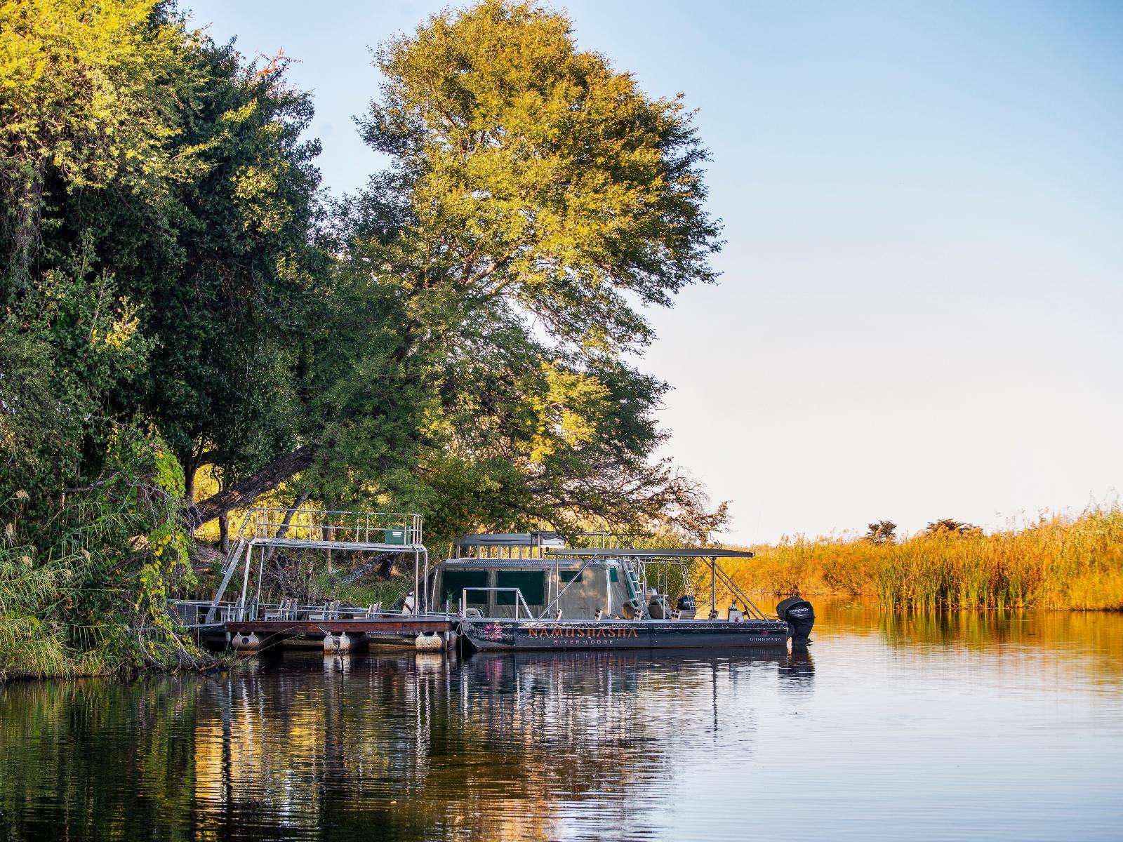 The Zambezi